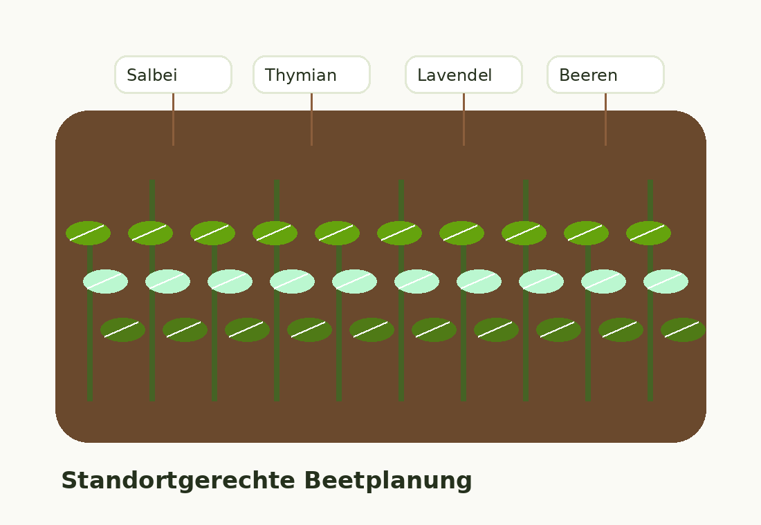 Pflanzenbeet mit Stauden